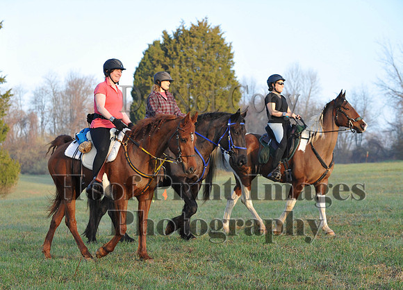 Foxcatcher(4-12-14)0243