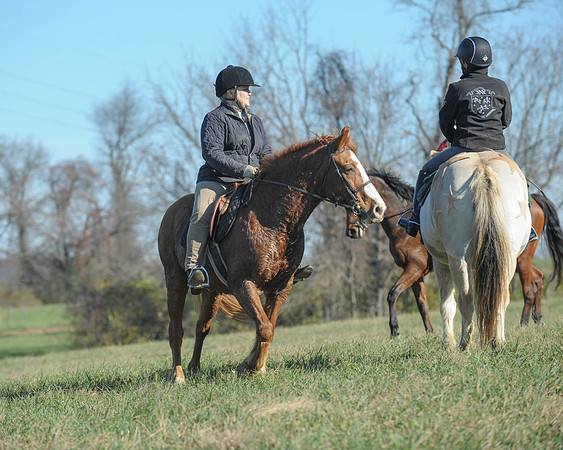 BHPC(11-15-15)0178