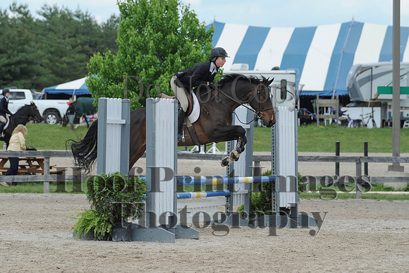 BRSa(5-17-14)0.8mJCl0032