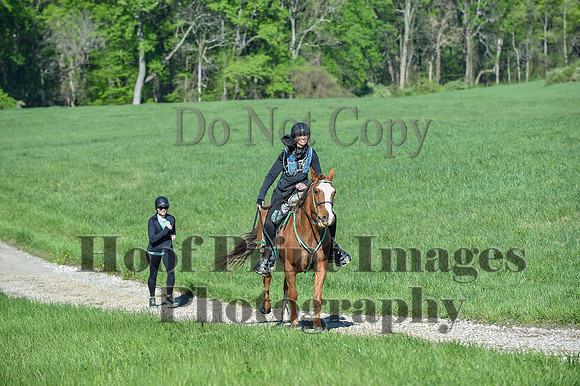 ChesapeakeSpring(4-27-25)0374