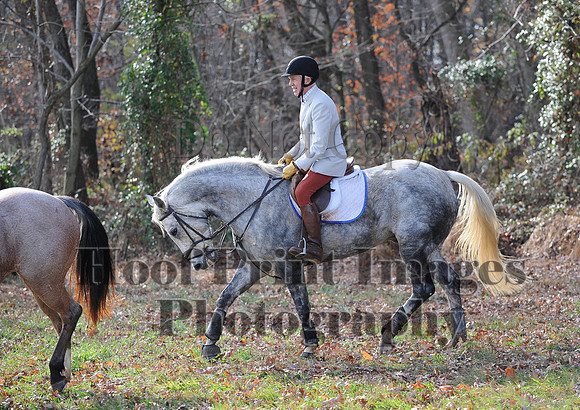 AndrewsBr(11-9-14)0592