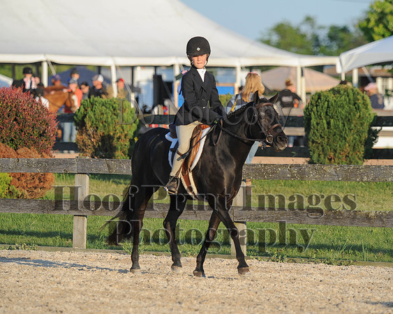 BRSa(5-17-14)SMChP0113