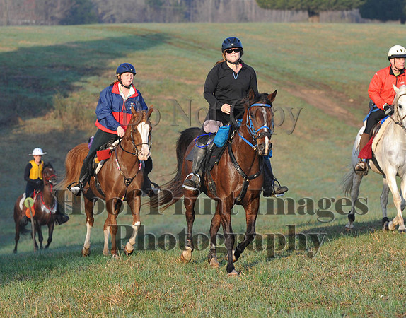 Foxcatcher(4-12-14)0479