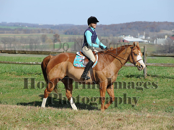 AndrewsBr(11-9-14)0341