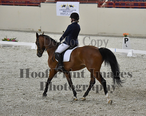 CWdressageII(8-21-16)2095