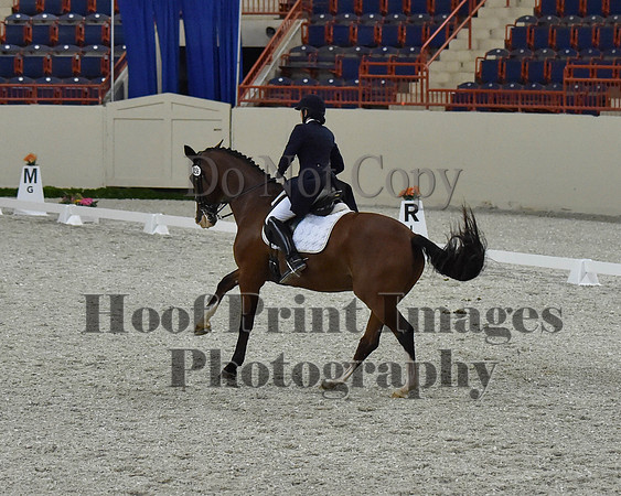 CWdressageII(8-21-16)1753