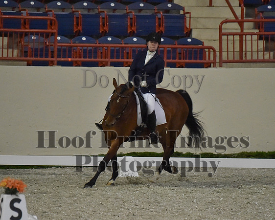 CWdressageII(8-21-16)1377