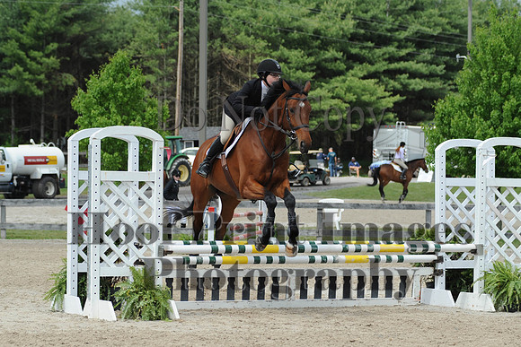 BRSa(5-17-14)0.8mJCl0068