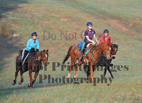 Foxcatcher(4-12-14)0405