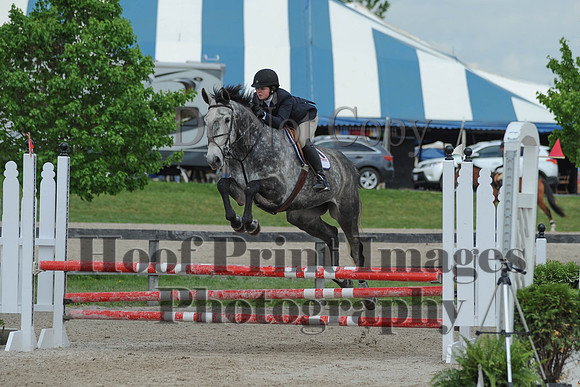BRSa(5-17-14)0.8mJCl0078