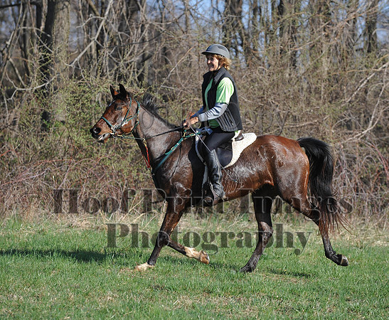 Foxcatcher(4-12-14)0581