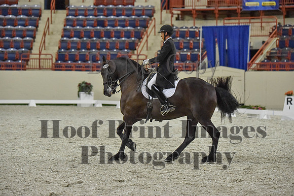 CWdressageI(8-20-16)1124