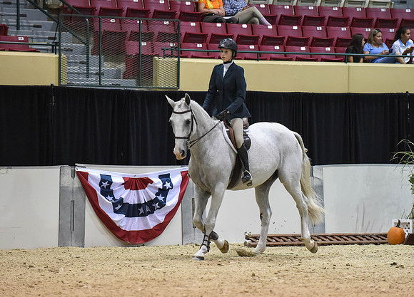 MHSAHtStFinH(9-12-14)0103