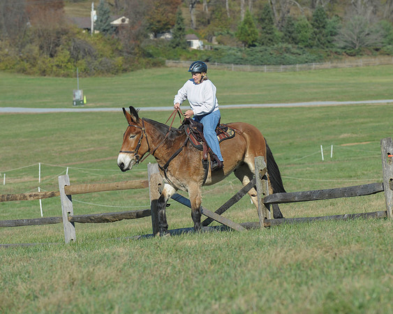 BHPC(11-15-15)0517