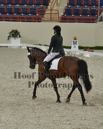 CWdressageII(8-21-16)1308