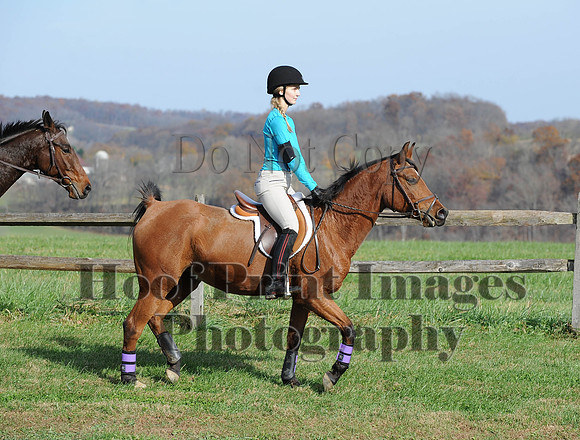 AndrewsBr(11-9-14)0428