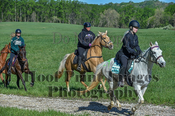 ChesapeakeSpring(4-27-25)0541