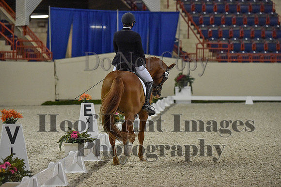 CWdressageI(8-20-16)0504