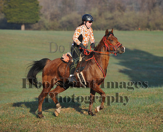 Foxcatcher(4-12-14)0530