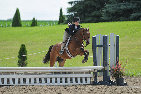 SC(6-28-14)SMPony0046