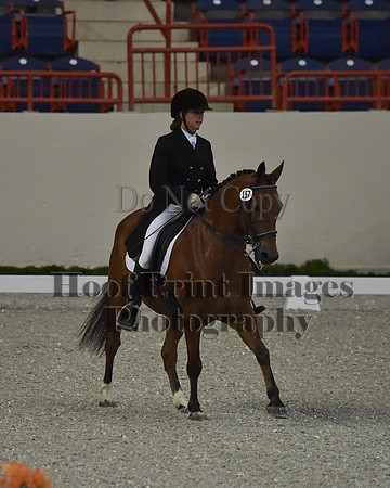 CWdressageII(8-21-16)0868