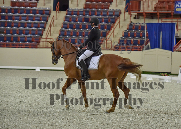 CWdressageI(8-20-16)0516