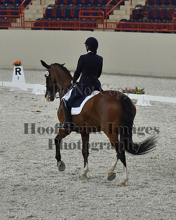 CWdressageII(8-21-16)1762