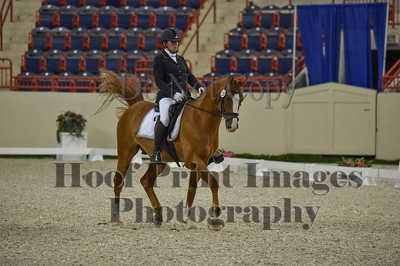 CWdressageI(8-20-16)0497