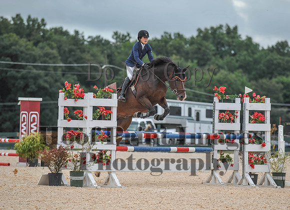 QuentinFall1(9-3-17)0137
