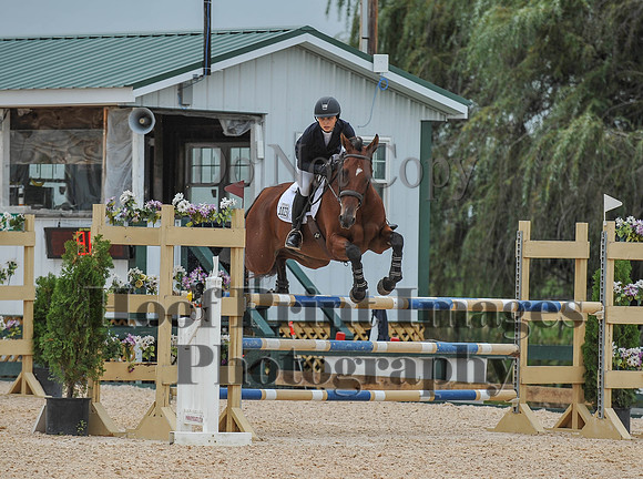 QuentinFall1(9-3-17)0149