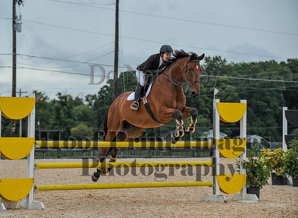 QuentinFall1(9-3-17)0194