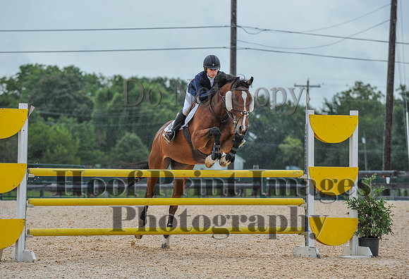 QuentinFall1(9-3-17)0202