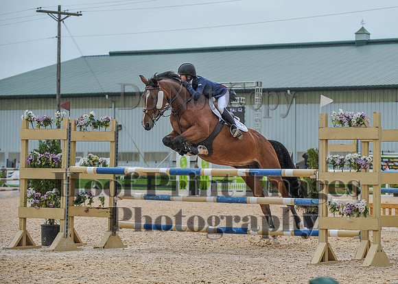 QuentinFall1(9-3-17)0205