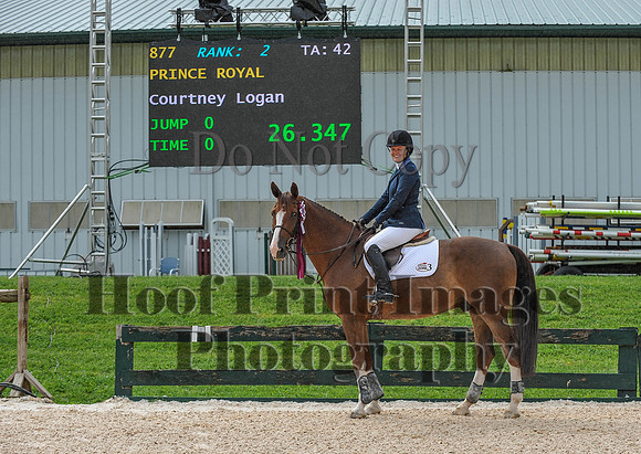 QuentinFall1(9-3-17)0211