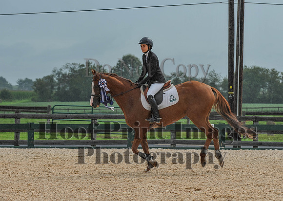 QuentinFall1(9-3-17)0219