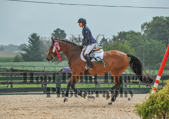 QuentinFall1(9-3-17)0231