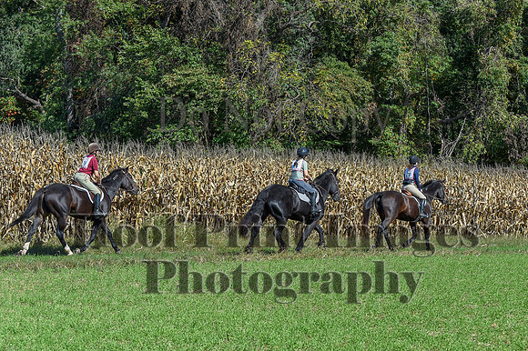CheshirePonyClubPC(10-6-24)0389