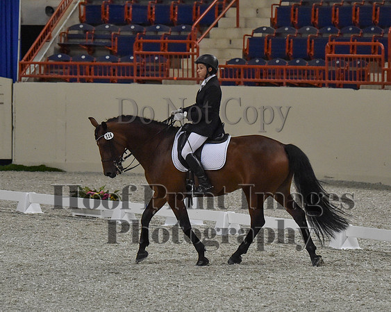 CWdressageII(8-21-16)0470