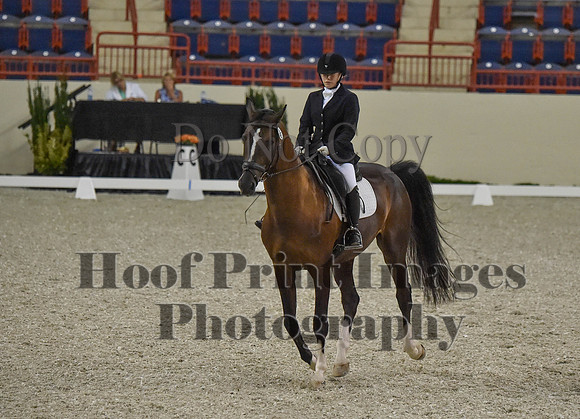CWdressageI(8-20-16)0192