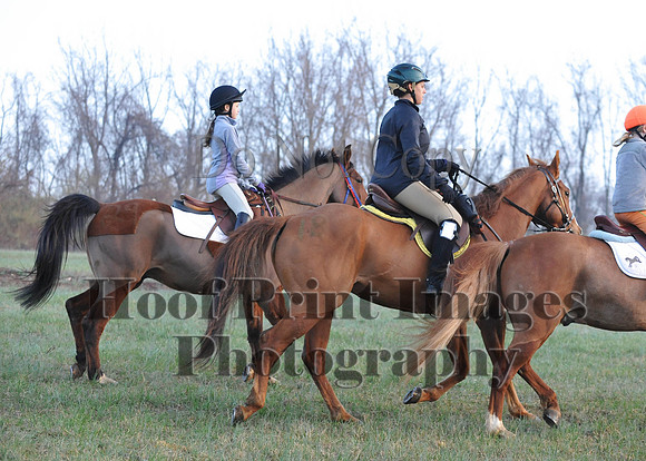 Foxcatcher(4-12-14)0138