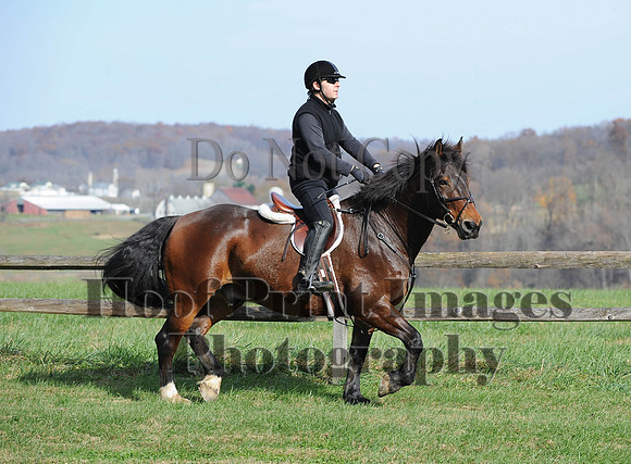 AndrewsBr(11-9-14)0371