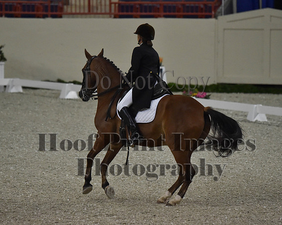 CWdressageII(8-21-16)0872