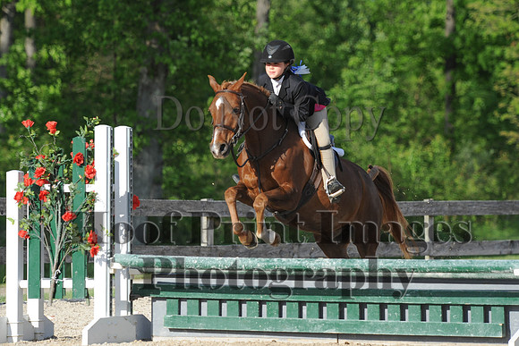 BRSa(5-17-14)SMChP0035