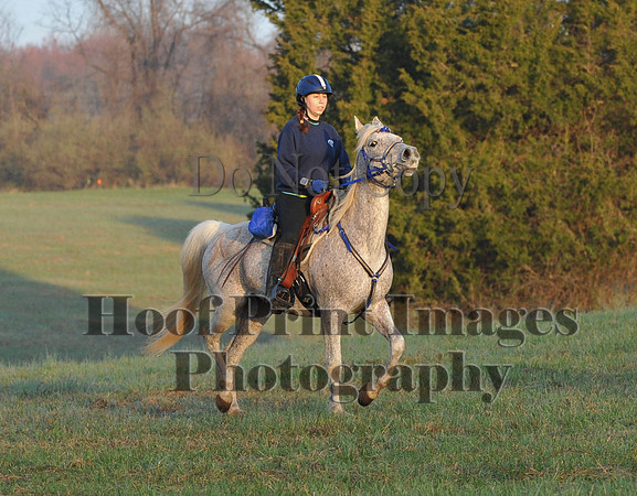 Foxcatcher(4-12-14)0223