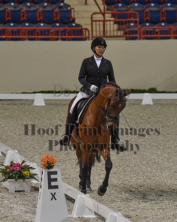 CWdressageII(8-21-16)0164