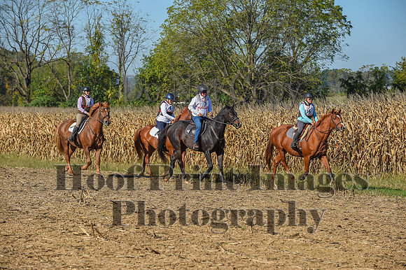 CheshirePonyClubPC(10-6-24)0077