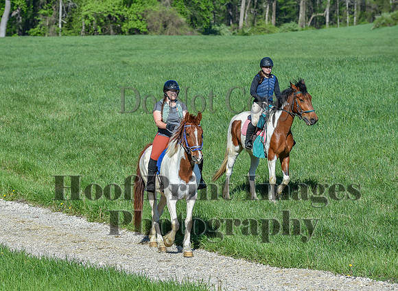 ChesapeakeSpring(4-27-25)0503