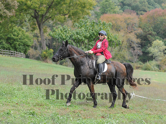 CheshirePC(10-16-16)0537