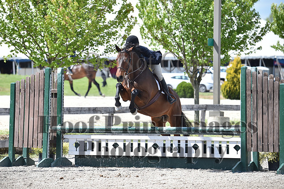 StCSun(5-15-16)PrAd0034