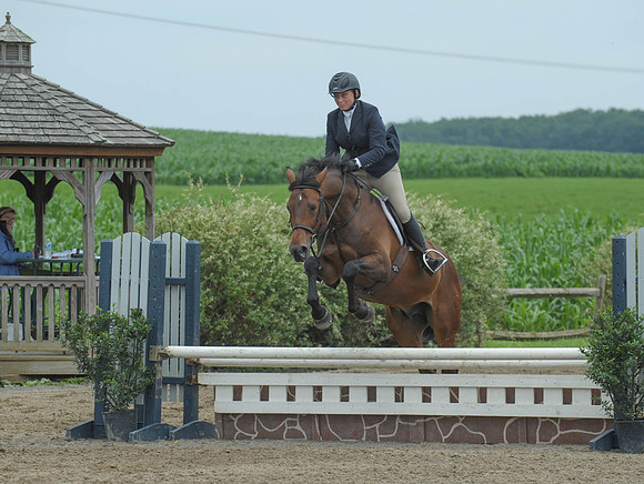 Lion(7-3-15)LowChAdHtr0149